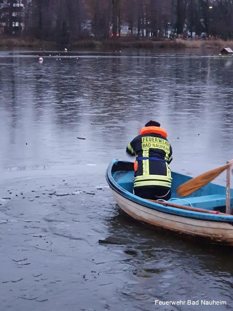 Mehr über den Artikel erfahren Tierrettung im Kurpark