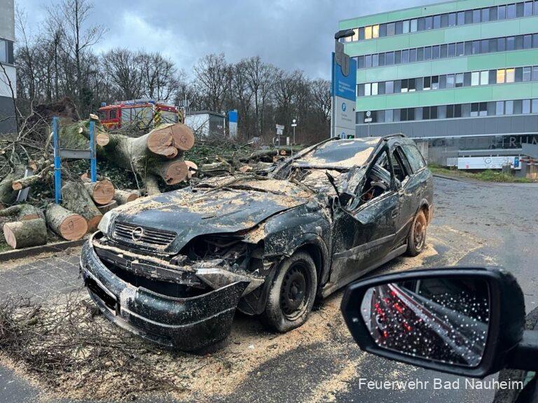 Read more about the article Mehrere umgestürzte Bäume nach Sturm