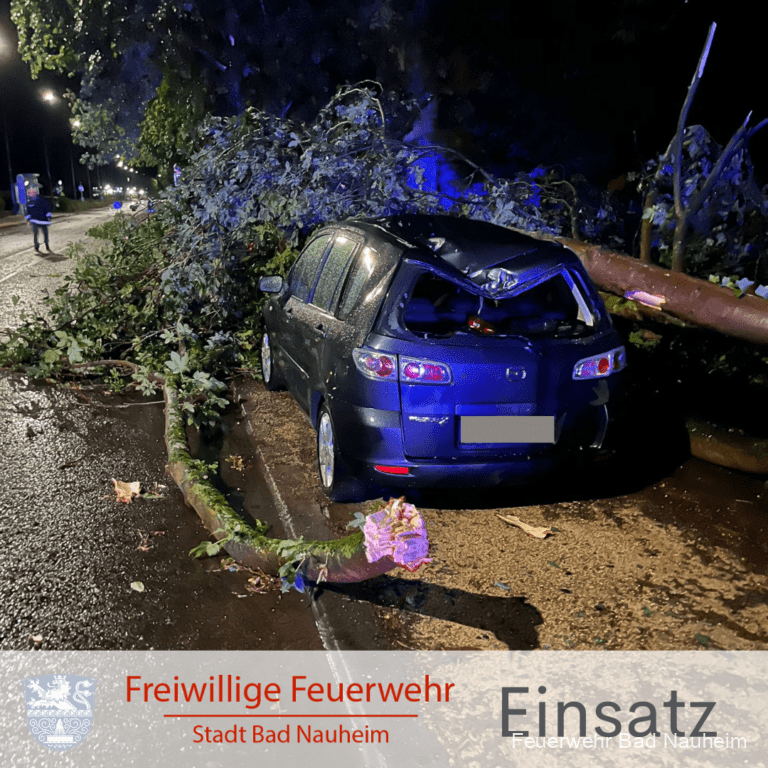 Mehr über den Artikel erfahren Mehrere Unwettereinsätze