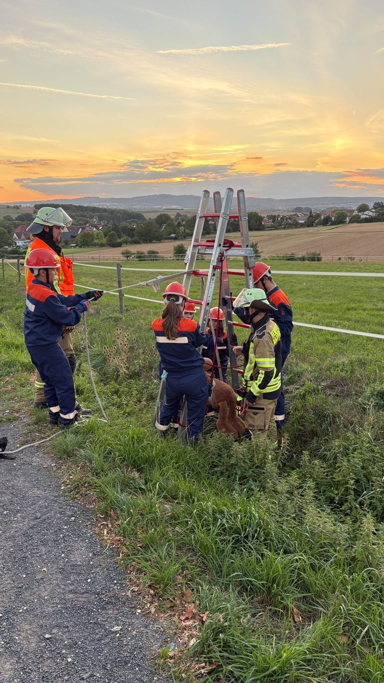 Mehr über den Artikel erfahren Berufsfeuerwehrtag der Steinfurther Jugendfeuerwehr